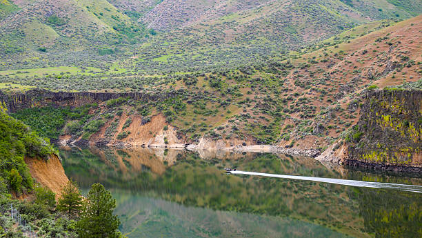 Canyon Landscape with Creek Water Flowing Down From Mountains in Springtime - Scenic nature landscape in wilderness area with clean clear pristine water flowing from high above through lush springtime foliage evoking a sense of tranquility.