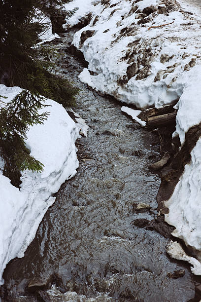 istock Mountain stream flowing through snow-covered landscape in winter forest. 2216111109