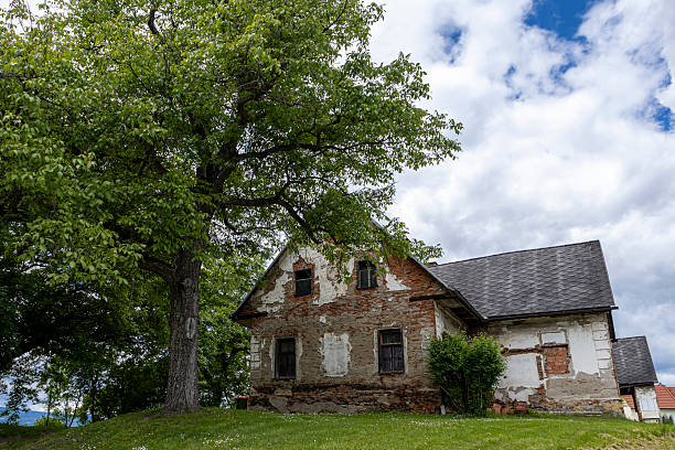 A dilapidated house surrounded by lush greenery and a large tree under a cloudy sky.