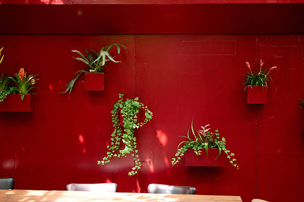 Potted plants hanging on a red wall bring a touch of nature to a modern cafe, creating a vibrant and inviting atmosphere