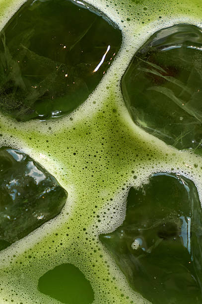 Iced matcha green tea with ice cubes and foam. matcha