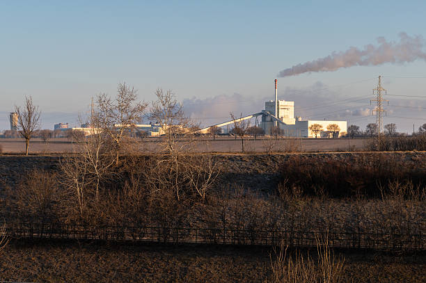 A factory with a red-and-white chimney emits thick smoke into the sky, partially obscured by leafless bushes and a fenced embankment. The soft morning light casts a warm glow over the industrial landscape.