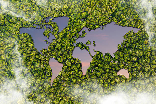istock Green World Map- 3D tree or forest shape of world map isolated on white background. World Map Green Planet Earth Day or Environment day Concept. Green earth with electric car. Paris agreement concept. 2216120796