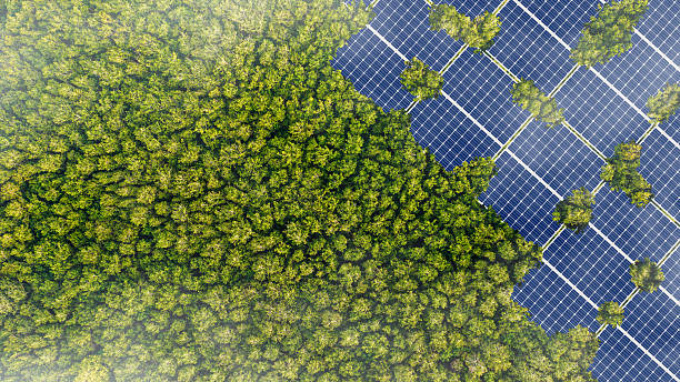 istock Solar panels installed in the green forest Clean alternative energy concept. Environment, solar energy, generator. 2216120953