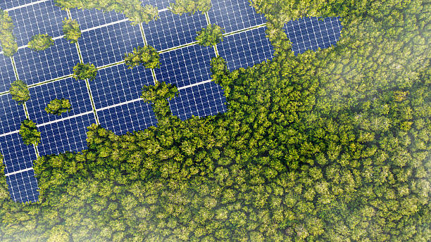 istock Solar panels installed in the green forest Clean alternative energy concept. Environment, solar energy, generator. 2216120957