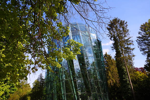 Glass structure ampng trees in the park
