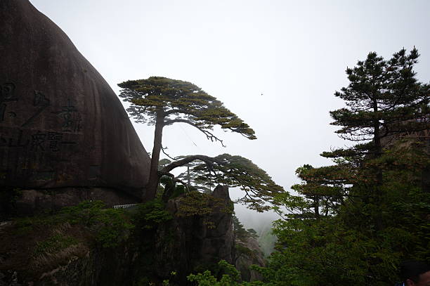 istock Huangshan Sea 2216127895