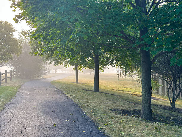 istock Foggy Morning 2216130840