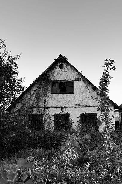 istock Abandoned Rural House Reclaimed by Nature 2216133104