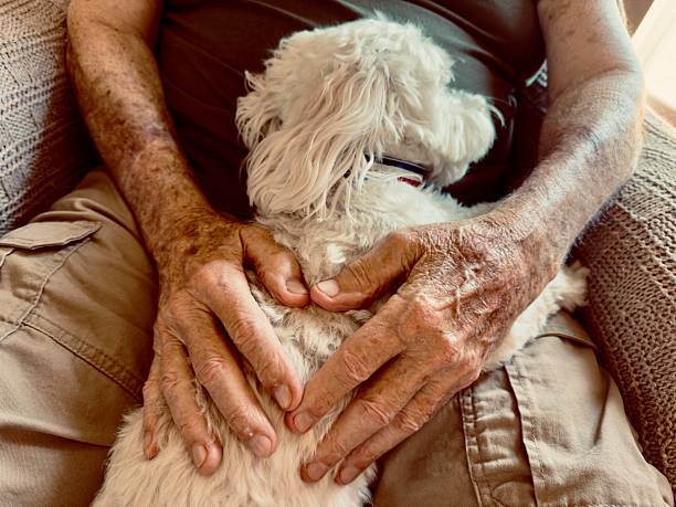 istock Senior little friend 2216136423