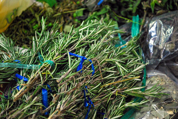 Fresh Mexican Herbs