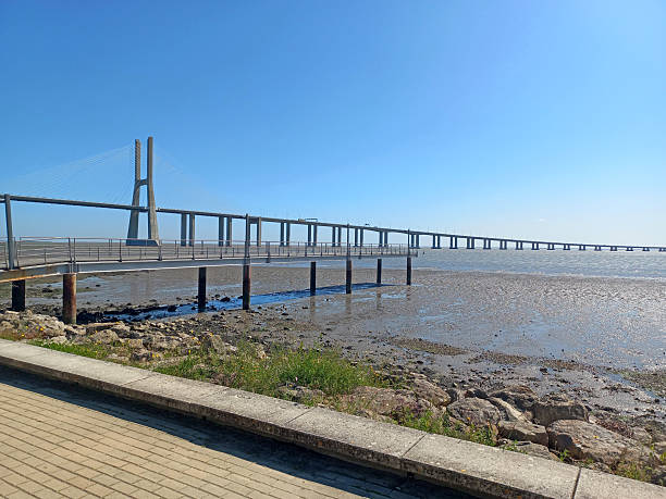 istock Vasco da Gama Bridge over Tagus River during low tide with exposed riverbed under clear blue sky in Lisbon Portugal 2216141716