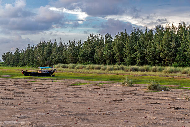 image of lush green landscape and a lonely boat at rural west bengal india.