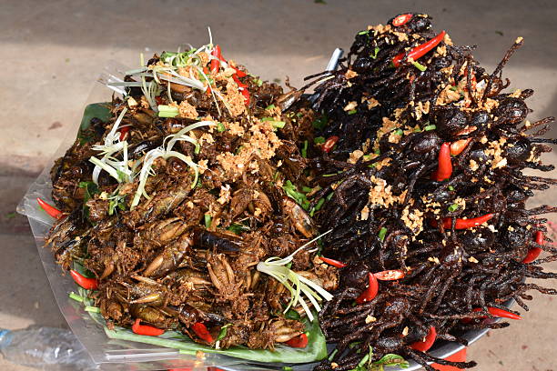 istock Candied, edible insects 2216152734