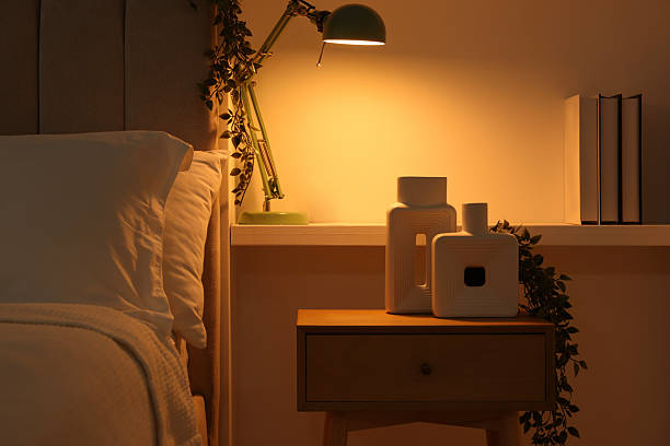 istock Stylish living room interior with bed, bedside table and lamp 2216153555