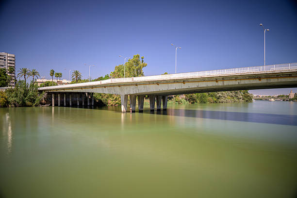 Los Remedios Bridge, inaugurated in 1964, spans the green waters of the Guadalquivir River, surrounded by palm trees and urban life.