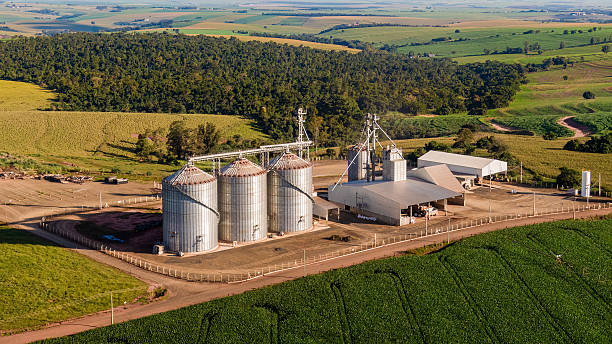 Aerial view of a large corn grain storage silo facility surrounded by a vast corn plantation in a rural area. Highlights agricultural processing and food production infrastructure.
