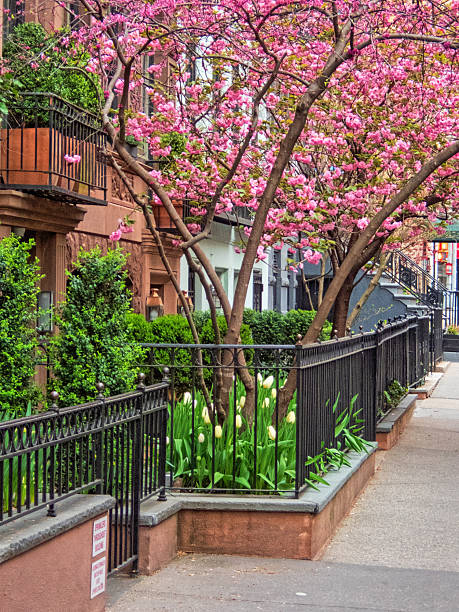 istock View of Upper East Side Manhattan 2216165511