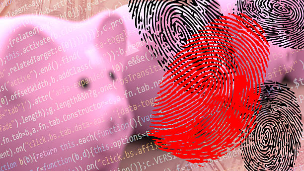istock Identify theft and fraud 2216168354