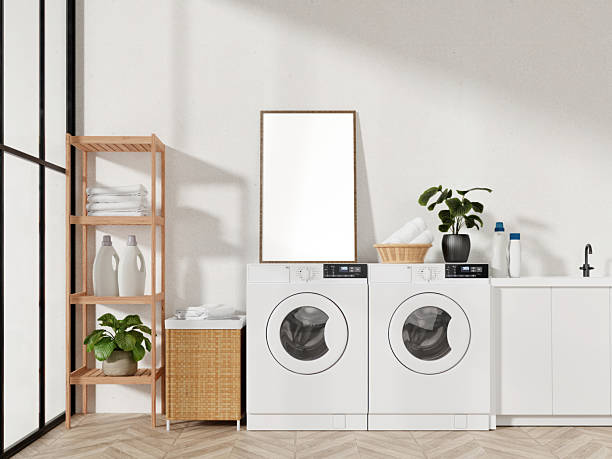 istock Laundry room design with modern appliances and natural decor. 3D render illustration 2216174098