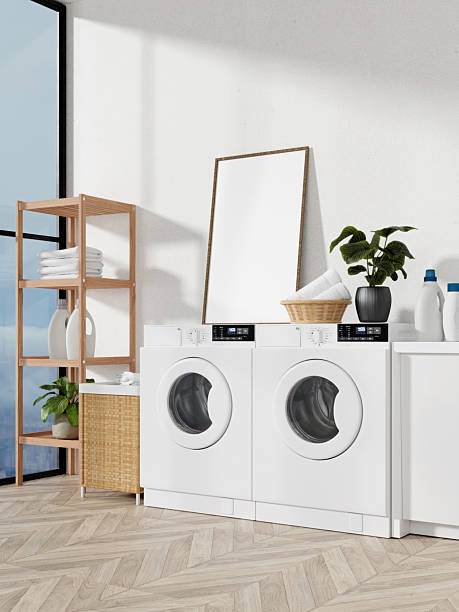 istock Laundry room design with modern appliances and natural decor. 3D render illustration 2216174112
