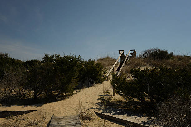 istock Board walk to beach through sand dunes sunny day Cape Hatteras N 2216174493
