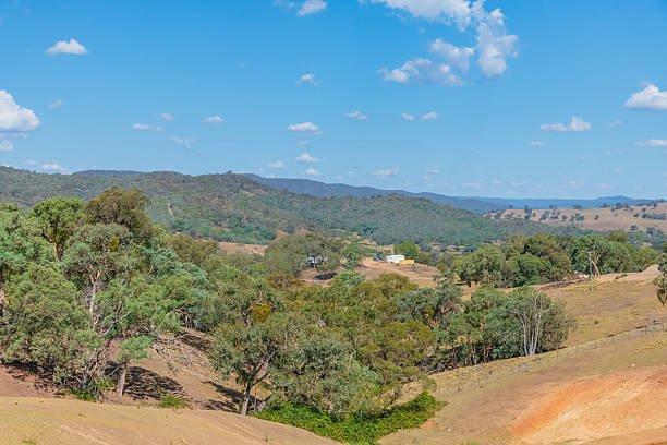 Rural scenery on a road trip in the Southern Tablelands and Upper Lachlan Shire in NSW, Australia.