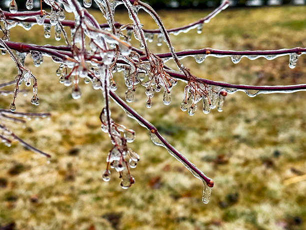 istock Freezing Rain Storm in Toronto, Ontario, Canada 2216177201