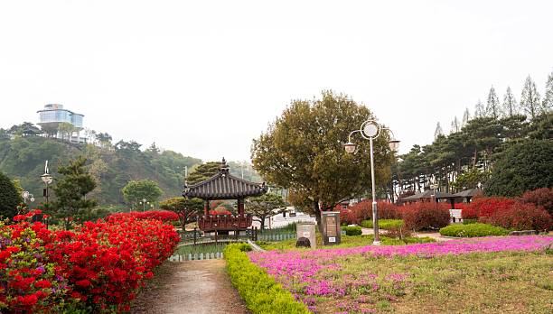 istock Red Rhododendron Field 2216179240