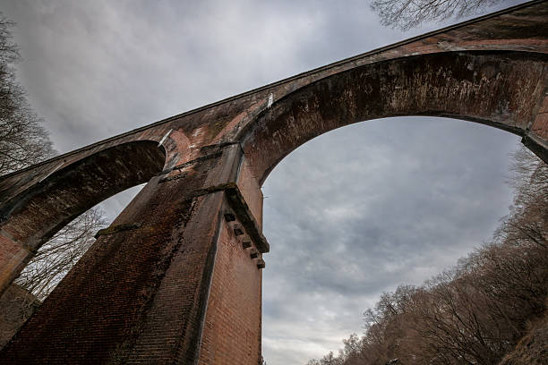 This large brick arch bridge, part of the abandoned Usui Pass Railway in Gunma, Japan, once carried a unique rack-and-pinion railway line through the mountains.Captured on a quiet winter afternoon under a cloudy sky, the scene now echoes with silence  a solemn reminder of Japan's industrial past and the passage of time.