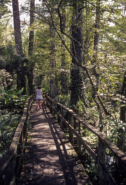 istock Corkscrew Swamp - Mother & Daughter Head Deeper into the Swamp - 1981 2216184272