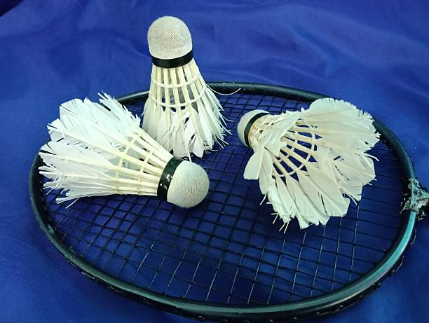 istock worn out or used shuttlecocks on a black  badminton racket on blue background close up. 2216184960