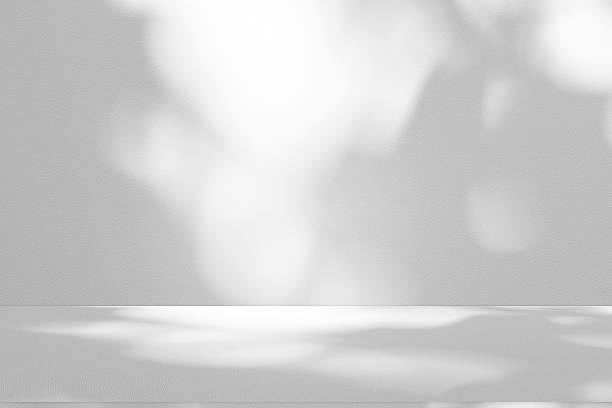 istock Wall interior background, studio and backdrops show products.with shadow from window color white . background for text insertion and presentation product 2216191996