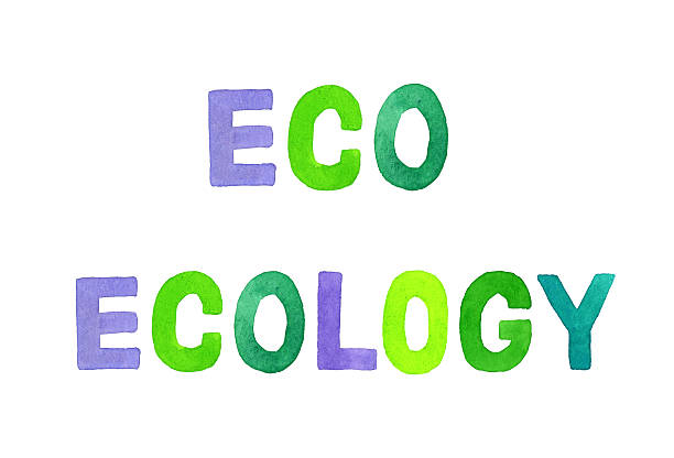 istock ECO・ECOLOGY handwritten text. Hand drawn watercolor illustration. 2216194040