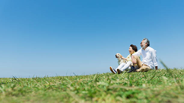istock Senior couple and dog in a meadow under a blue sky 2216197871