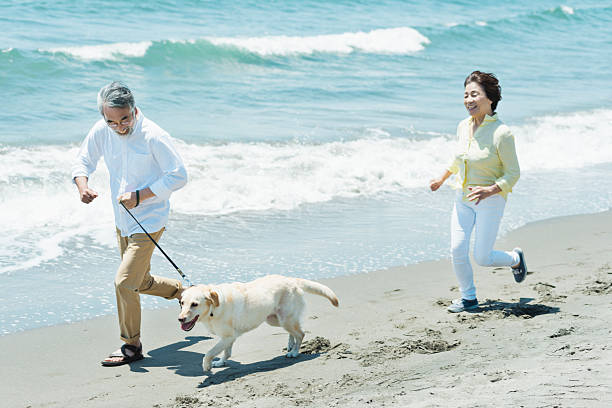 istock Senior couple and dog on the beach 2216198155