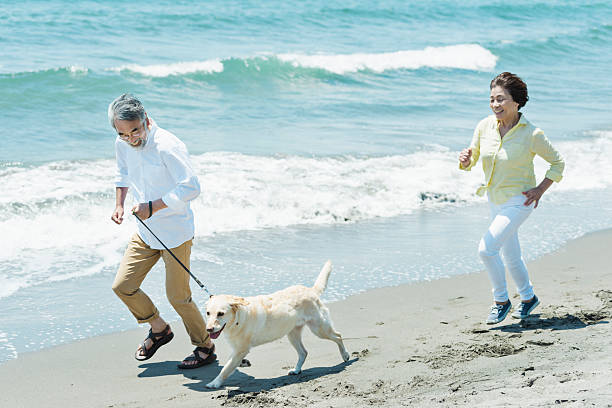 istock Senior couple and dog on the beach 2216198322