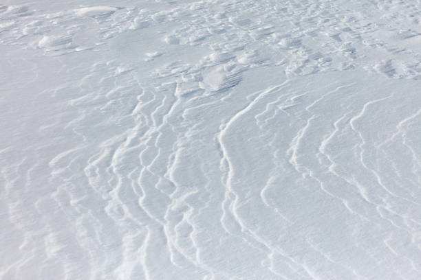 The snow is a bright white color and it covers the ground in a thick layer. The snow is so deep that it almost reaches the ground, creating a beautiful and serene winter landscape