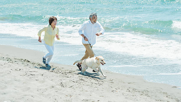 istock Senior couple and dog on the beach 2216198933