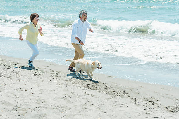 istock Senior couple and dog on the beach 2216199057