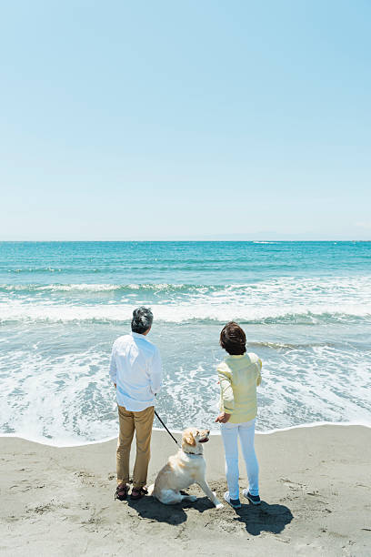 istock Senior couple and dog on the beach 2216199172