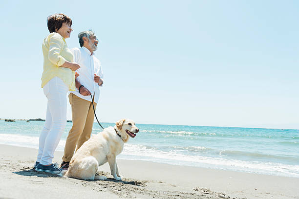 istock Senior couple and dog on the beach 2216200403