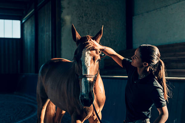 istock Veterinarian examining beautiful horse inside stable 2216206419