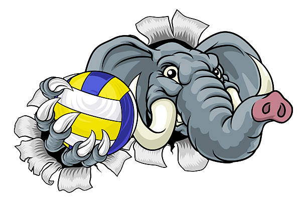 Elephant Volleyball Volley Ball Animal Mascot An elephant volleyball animal sports mascot holding a volley ball in his claw republican elephant logo stock illustrations