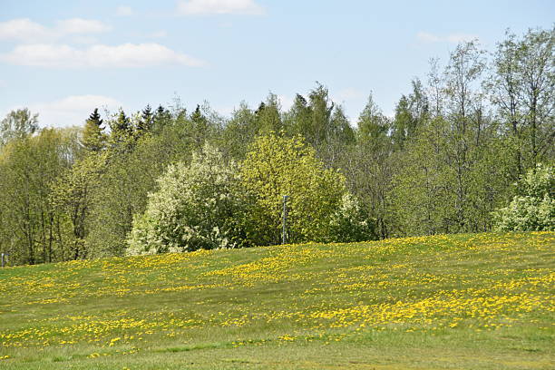 istock Loving Lovely Spring Views 2216207386
