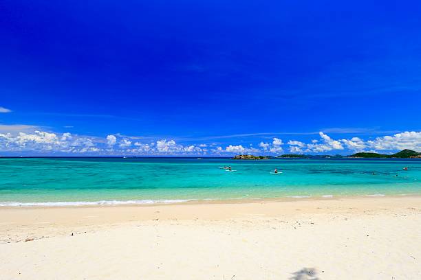 istock Group of People Doing Summer Activity on the Beach 2216210534