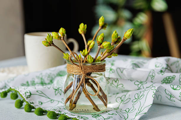 istock Spring buds in glass jar with coffee and textile on table 2216218634