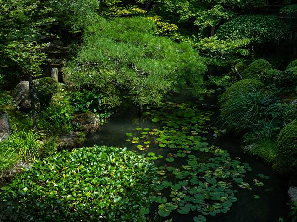 istock Tranquil Japanese garden with lily pond. 2216223633