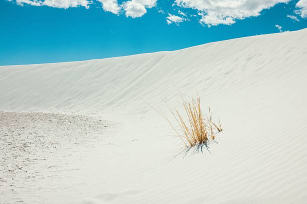 istock Serene desert landscape with white sand dunes. 2216228602