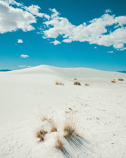 istock White sand dunes and blue sky at White Sands. 2216228677